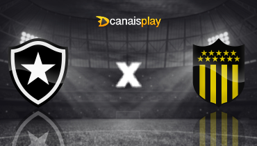 Assistir Botafogo x Peñarol ao vivo online 23/10/2024