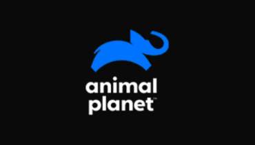 Assistir Animal Planet ao vivo em HD Online