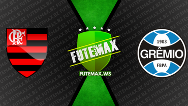 Assistir Flamengo x Grêmio ao vivo online 11/06/2023