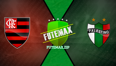 Assistir Flamengo x Palestino ao vivo online 10/04/2024