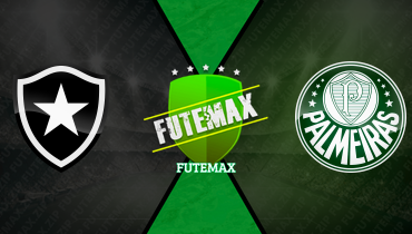 Assistir Botafogo x Palmeiras ao vivo online 17/07/2024