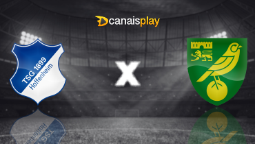 Assistir Hoffenheim x Norwich City ao vivo online 30/07/2024