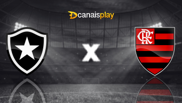 Assistir Botafogo x Flamengo ao vivo online 18/08/2024